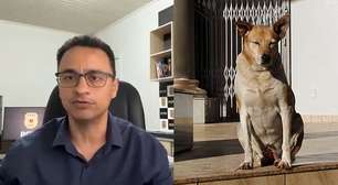 Polícia Civil identifica suspeitos de atropelar e matar cachorrinha no PR