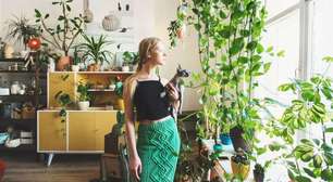 Urban Jungle terapêutica: 5 plantas que reduzem o estresse