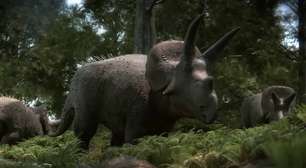 Estudo altera percepção histórica envolvendo dinossauros com chifres