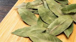 4 simpatias com louro para trazer sorte neste mês