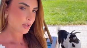 Nicole Bahls descobre que cabrito 'Leo Dias' é fêmea e mãe