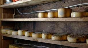 Nova pesquisa derruba a ideia de que "toda gordura saturada é ruim" e mostra que queijo curado pode prevenir Alzheimer
