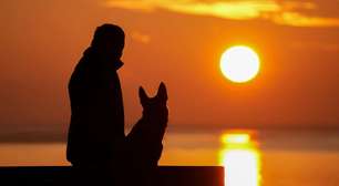 Luto após perder um animal de estimação é igual ou pior do que perder um ente querido, diz estudo