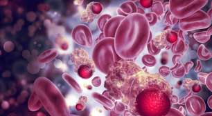 O impacto do relógio biológico no combate ao câncer