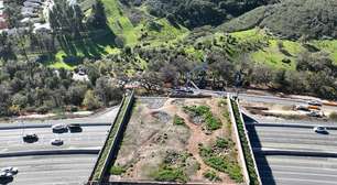 Custou R$100 milhões e nenhum humano pode usar: a megaestrutura que a Califórnia construiu sobre uma rodovia movimentada