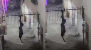 Homem fica preso de cabeça para baixo em portão após tentar invadir prédio em Salvador