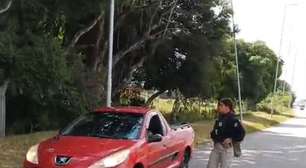 PRF prende homem procurado por descumprimento de medida protetiva na BR-392