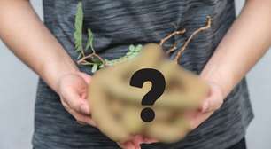 Fruta esquecida por todos tem 2 vezes mais potássio que a banana e 3 vezes mais magnésio que o abacate