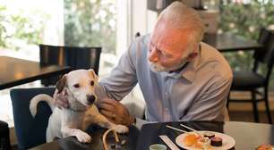 Buenos Aires se transforma na capital pet friendly da América Latina e redefine a vida urbana