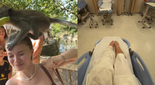 Influenciadora é internada após ataque de macacos na Tailândia