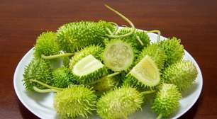 Maxixe ajuda a emagrecer? Veja 6 benefícios do vegetal e como incluir na dieta