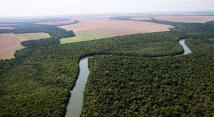 Marina divulga balanço e cita que 2026 pode ter menor taxa histórica de desmatamento na Amazônia