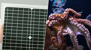 Perovskita vinha apresentando problemas internos há anos: a solução estava nos polvos