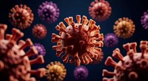 Vírus Nipah: quais são os riscos de uma epidemia durante Carnaval no Brasil?