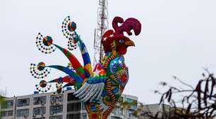 'Coração transplantado' é destaque do Galo da Madrugada; veja fotos