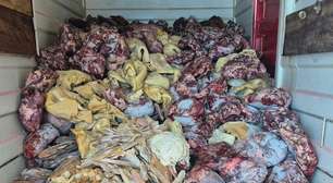 Dono de supermercado é preso em operação que apreendeu 10 toneladas de alimentos impróprios para consumo no Litoral Norte