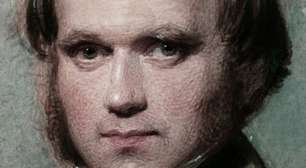 Em 1º de agosto de 1828, um capitão inglês se suicidou com um tiro na cabeça no Chile, e graças a isso Darwin elaborou a teoria da evolução