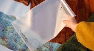 Sacolas de algas marinhas surgem como alternativa ao plástico