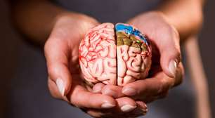 5 semanas de treino cerebral: um escudo contra a demência?