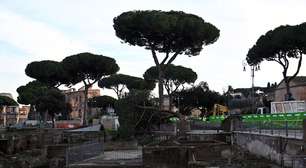 Roma inicia remoção de árvores centenárias aos pés do Coliseu