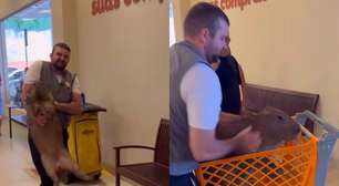 Capivara entra em supermercado no Acre, é retirada de carrinho e vira 'cliente'