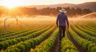 Agronegócio avança em soluções para eficiência energética