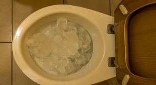 Truque do gelo no vaso sanitário funciona mesmo? Veja porque essa técnica ficou popular e como fazer em casa