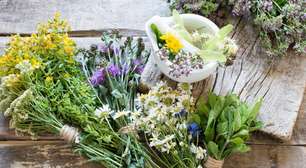 Banho de ervas: recupere sua energia após os blocos de Carnaval