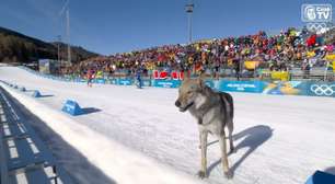 Cachorro cruza chegada e prejudica brasileira em prova de esqui