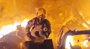 Cadela é resgatada de incêndio de grandes proporções em depósito; veja vídeo