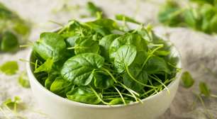 Agrião: 8 benefícios para a saúde e por que incluir a verdura na sua dieta