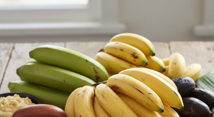 Do prato principal à sobremesa: conheça os tipos de banana e como usar