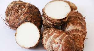 Culinária versátil: como o inhame substitui o creme de leite nas receitas