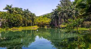 A cidade fundada há 86 anos, sendo um patrimônio artístico, destaca-se pela união entre a natureza exuberante e a arte contemporânea