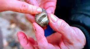 Descubra a história por trás da 'pedra sorridente' encontrada no Reino Unido