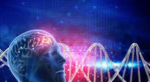 Neurogênese: a habilidade dos neurônios se regenerarem