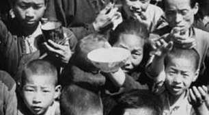 O inimigo número um da China não era um país, mas sim passarinhos: o plano radical que provocou a maior crise de fome da história