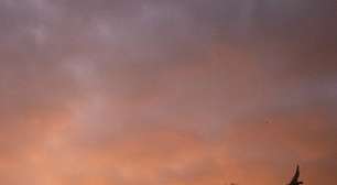 Vasco pode perder titular para o duelo contra o Fluminense