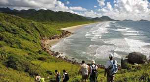 Ilha do Cardoso: paraíso natural e refúgio da biodiversidade paulista