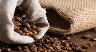Minas Gerais reforça protagonismo na produção de cafés