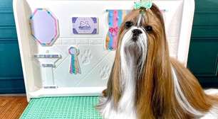 Como ensinar filhotes a usar o sanitário pet desde cedo?