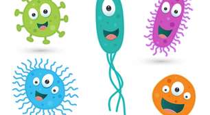 Do gelo à ciência: descoberta de bactéria de 5.000 anos pode inspirar novos antibióticos