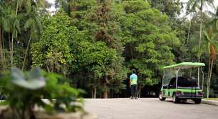 Horto Florestal (SP) faz 130 anos: veja programação