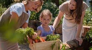 Esqueça os supermercados: como a Holanda criou um "bairro do futuro" onde cultivar a própria comida virou regra