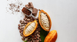 Cacau e chá podem proteger o coração de quem passa muito tempo sentado