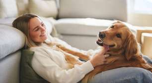 Leishmaniose Visceral Canina: conheça os sintomas da doença e as formas de transmissão