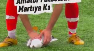 Vídeo: jogador faz massagem cardíaca e salva vida de gaivota atingida por bolada