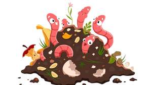 Chorume bom x ruim: a ciência por trás do cheiro dos resíduos orgânicos