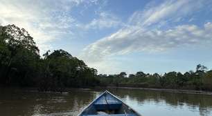 'A floresta é minha vida': extrativistas driblam desequilíbrio ambiental para manter Amazônia de pé