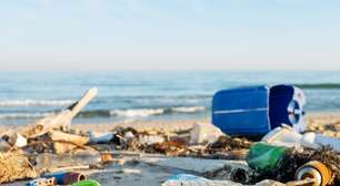 Se você acha que o seu lixo desaparece com o tempo, a ciência tem um alerta: o achado inesperado de 1960 que cruzou o oceano para provar o contrário